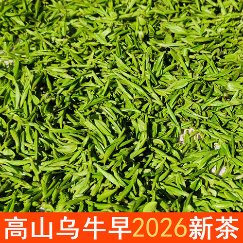 吴大叔新茶明前2026年乌牛早浙江高山绿茶春茶甘甜250g新芽头散装