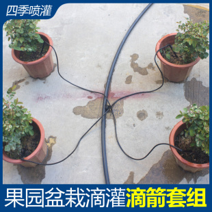 果园滴箭8升4升滴头滴灌全套设备稳流器自动浇花器盆栽果树滴水