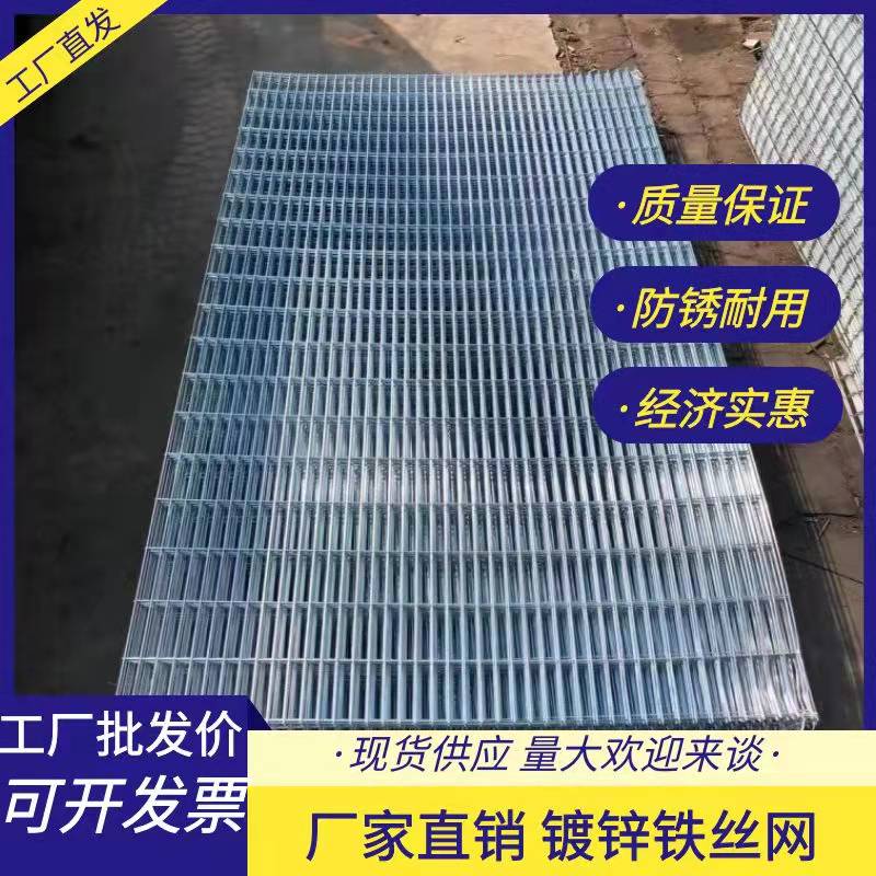 长孔镀锌铁丝网片加粗防锈鸽舍公棚鸡鸭兔狗笼加密养殖围栏地网