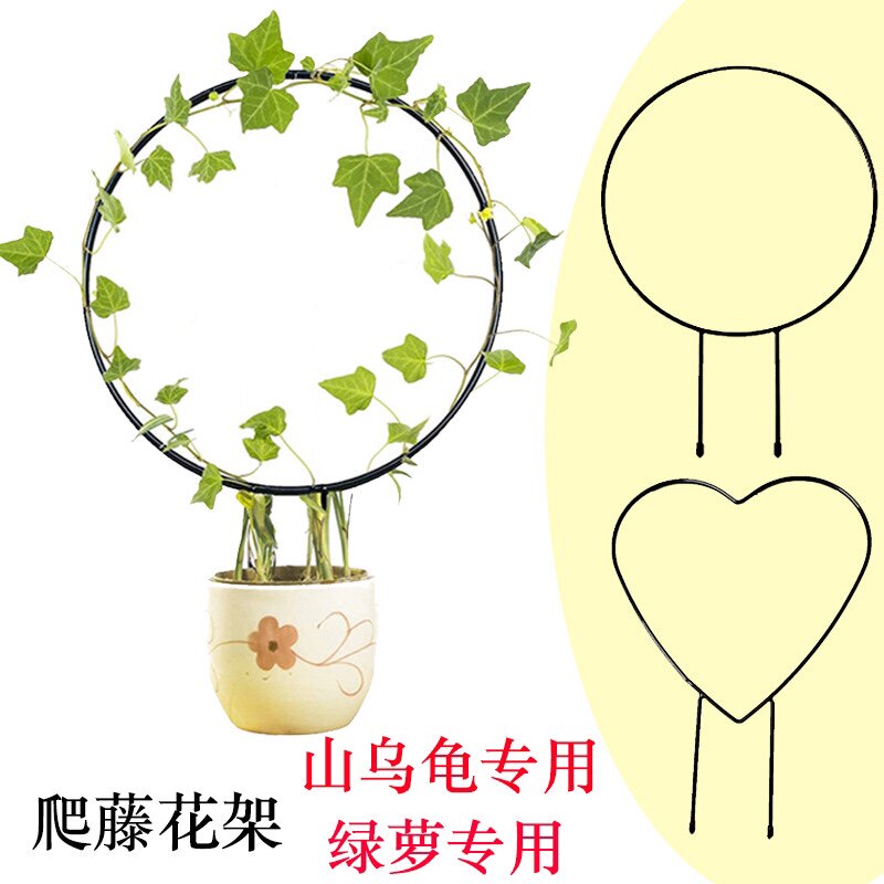 山乌龟爬藤架子心形圆形植物造型小支架铁艺铁线莲支撑杆