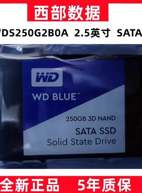 WD/西部数据 SA510 250G 500G 1T固态硬盘蓝盘SATA3台式机硬盘2TB