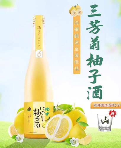 果味酒柚子酒柚子酒低度酒