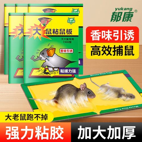 强力粘鼠板家用捕鼠神器