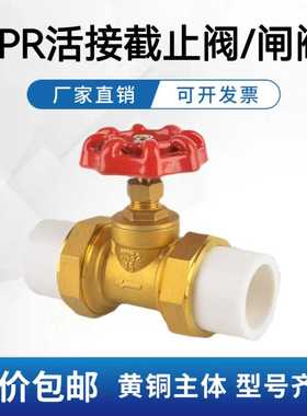 PPR截止阀双活接黄铜PPR闸阀4分20自来水管热熔6分25阀门开关1寸