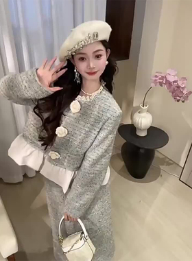 大码胖mm轻奢风百搭气质长袖上衣半身长裙套装女春秋季时尚两件套