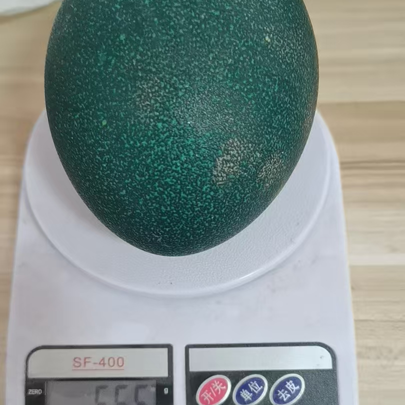 新鲜鸸鹋蛋，现产现发货！顺丰包邮！
