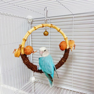 鹦鹉磨爪秋千吊环解闷鸟玩具站杆磨牙鸟笼专用站架攀爬益智玩具