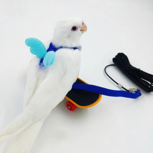 飞行玄风背带式超轻虎皮神器鹦鹉