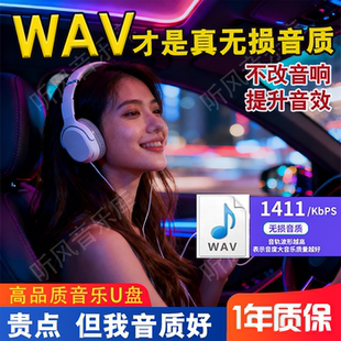 WAV无损车载音乐U盘高品质抖音热歌流行新歌经典怀旧老歌粤语爆dj