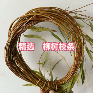 现摘新鲜柳树枝条柳树垂柳树叶手工编织柳枝条柳条春节扫屋柳条