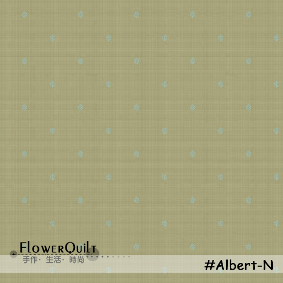 #Albert-N  1/4码