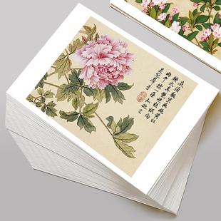 国画临摹卡工笔画花鸟合集32幅名家高清范画美术培训教学参考画集