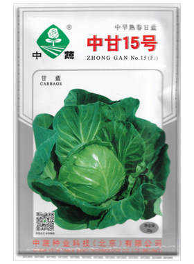 中蔬中甘15号甘蓝蔬菜种子