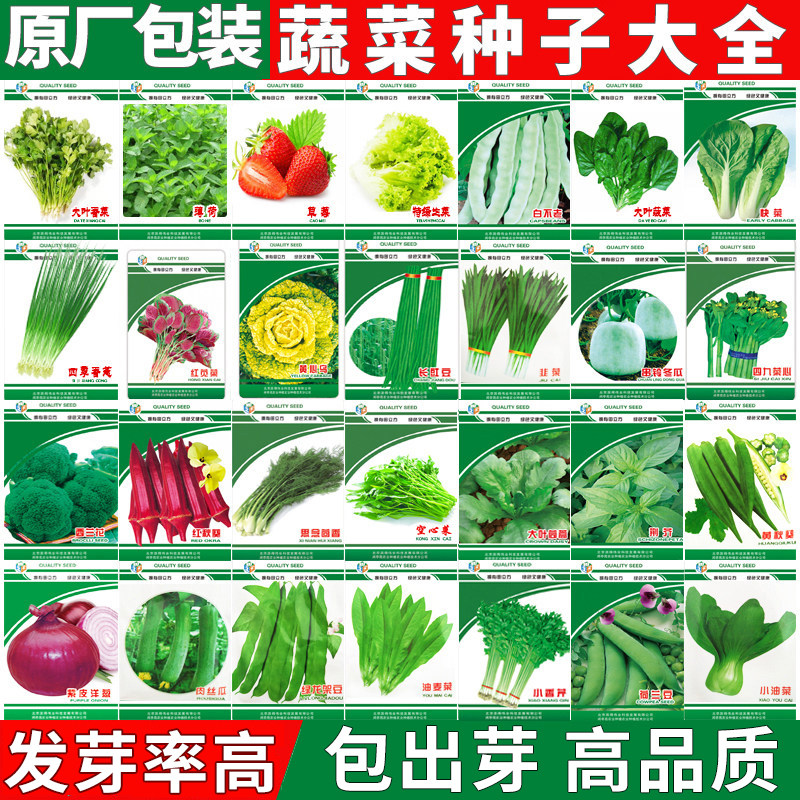 蔬菜种子小葱籽大全菜种子生菜菜籽青菜阳台盆栽菠菜韭菜香菜四季,鲜花速递/花卉仿真/绿植园艺,家庭园艺种子,淘宝优惠券,粉丝福利购,淘宝优惠卷