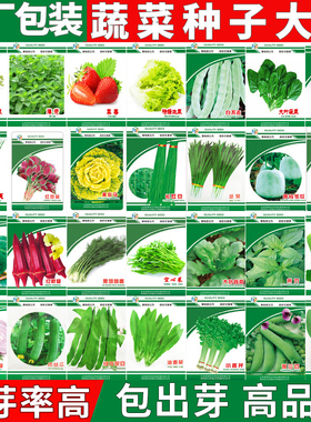 蔬菜种子小葱籽大全菜种子生菜菜籽青菜阳台盆栽菠菜韭菜香菜四季