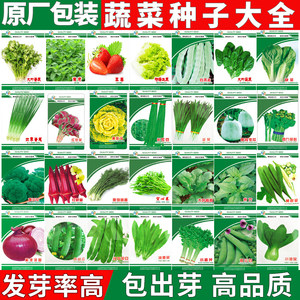 四季易种优选品种蔬菜种子大全