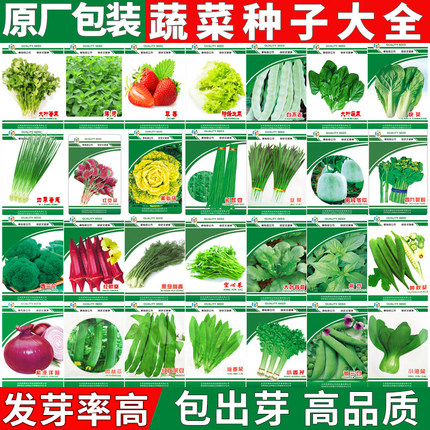 蔬菜种子小葱籽大全菜种子生菜菜籽青菜阳台盆栽菠菜韭菜香菜四季