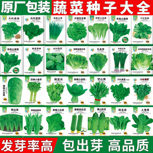 四季 盆栽蔬菜种子阳台菠菜小葱青菜韭菜空心菜香菜大全生菜油菜籽