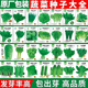 四季 盆栽蔬菜种子阳台菠菜小葱青菜韭菜空心菜香菜大全生菜油菜籽