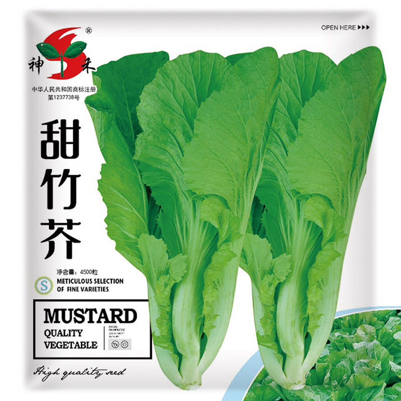大叶芥菜种子甜竹芥菜种包心芥菜芥菜种籽介菜菜种中花芥兰菜种籽