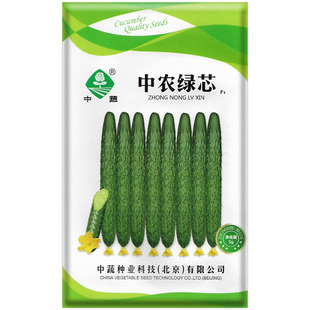 中蔬黄瓜种子中农绿心黄瓜籽大黄瓜长黄瓜水果黄瓜种孑绿肉黄瓜子