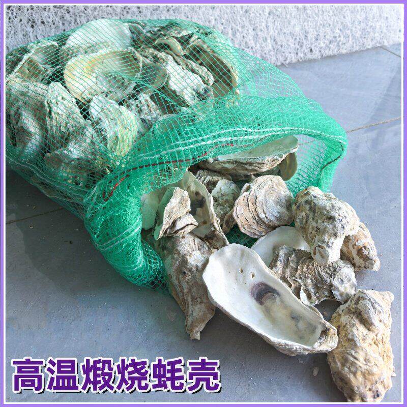 鱼缸鱼池滤材蚝壳锦鲤池调水生蚝壳免洗防跌酸碱性滤材牡蛎壳过滤