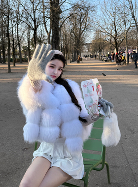 viola【白瓷雪狐】Yves*清冷感仙女天花板芬兰皮草双面料版本