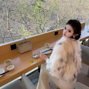 现货 viola【斯拉夫美学】进口saga稀有大理石狐中古贵妇高级皮草