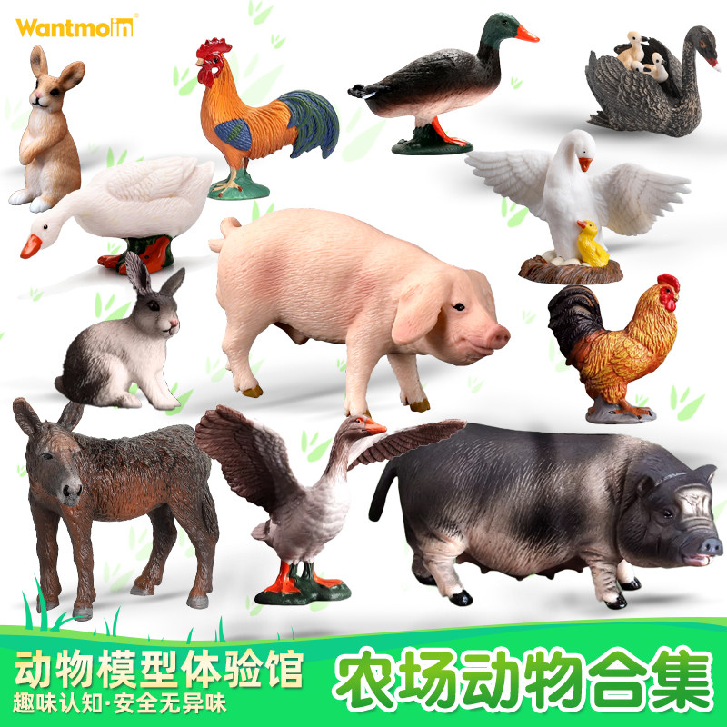 儿童认知家禽仿真早教农场动物图片
