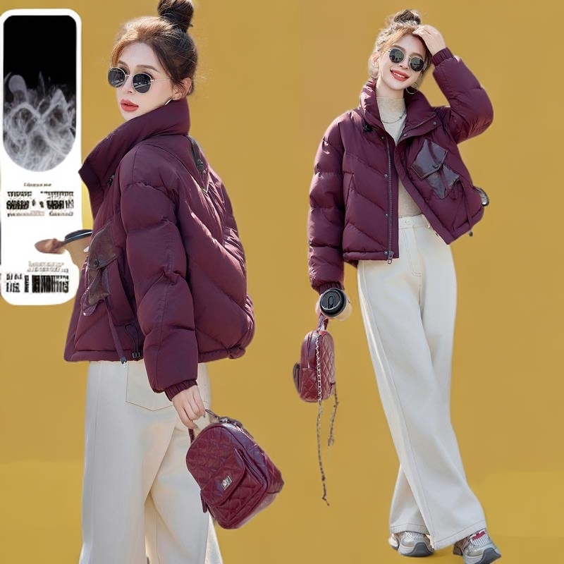 短款羽绒服女小个子冬季2025新款欧货高端洋气立领设计感小众外套