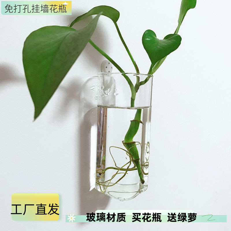 壁挂水培植物花瓶透明小清新现代简约客厅卧室挂墙上装饰玻璃花盆