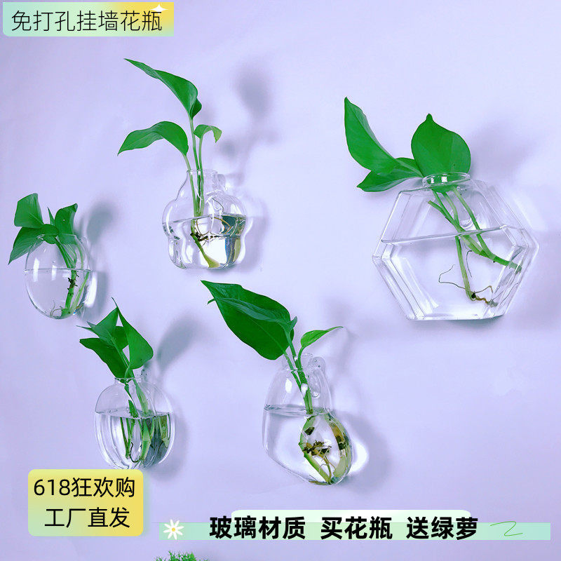 创意墙上壁挂花盆绿萝水培玻璃花瓶绿植餐厅客厅背景墙面壁饰挂件