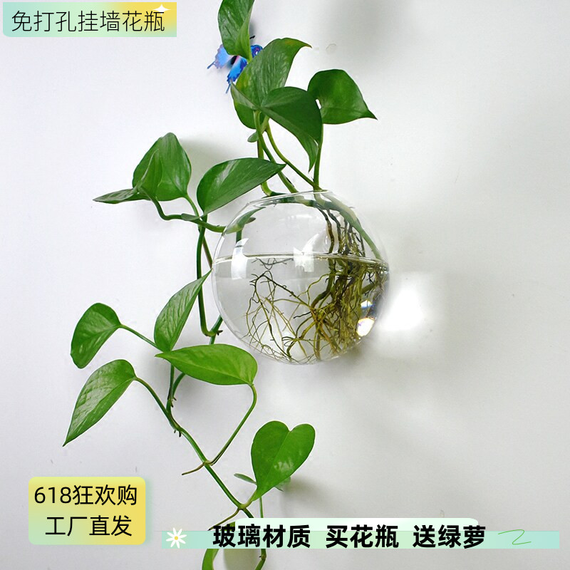 创意壁挂水培花瓶富贵竹绿萝玻璃花盆悬挂式透明小鱼缸墙面装饰品