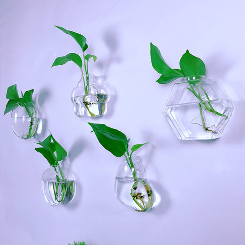创意墙上挂壁挂墙花盆绿萝墙饰壁挂水培玻璃花瓶绿植客厅墙面装饰