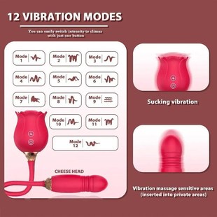 Rose Toy Dildo Thrusting Vibrator for Women Egg Clitoris