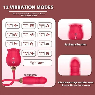 Rose Toy Dildo Thrusting Vibrator for Women Egg Clitoris