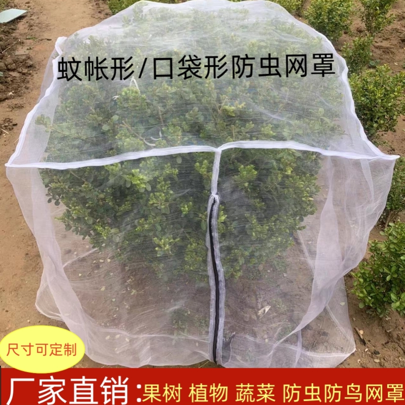 防虫网罩莲雾樱桃杨梅蓝莓果树防鸟防果蝇防蚊袋透气透光抗老化 农机/农具/农膜 农用防虫网 原图主图