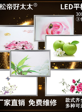 集成吊顶灯LED平板灯300*450铝扣板灯厨卫30X45嵌入式厨房灯