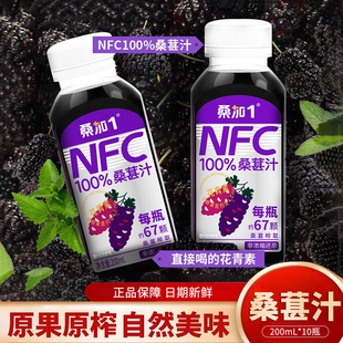 桑加1桑葚汁纯果蔬不加水不加糖NFC饮品纯原椹果汁整箱饮料礼盒