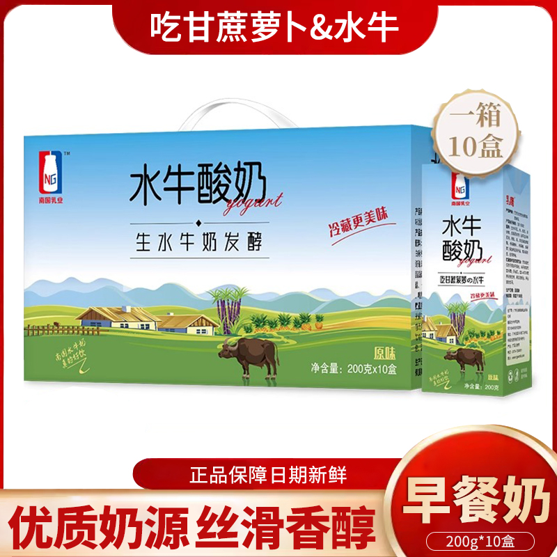 南国乳业乳鹰水牛常温酸奶200g*10盒装风味发酵乳学生营养早餐奶