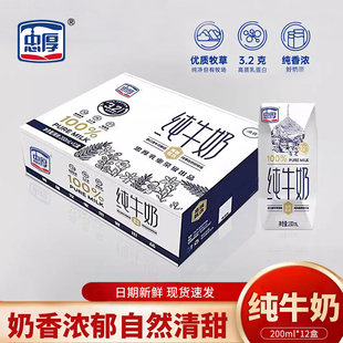 忠厚纯牛奶200ml*12盒无添加儿童学生成人牛奶新鲜营养早餐奶整箱