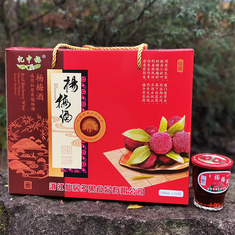 浙江东魁杨梅酒小梅林酒非靖州仙之玻璃口杯低度瓶酒自酿酒甜果酒
