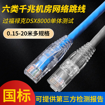 过福禄克检测六类网络跳线网线