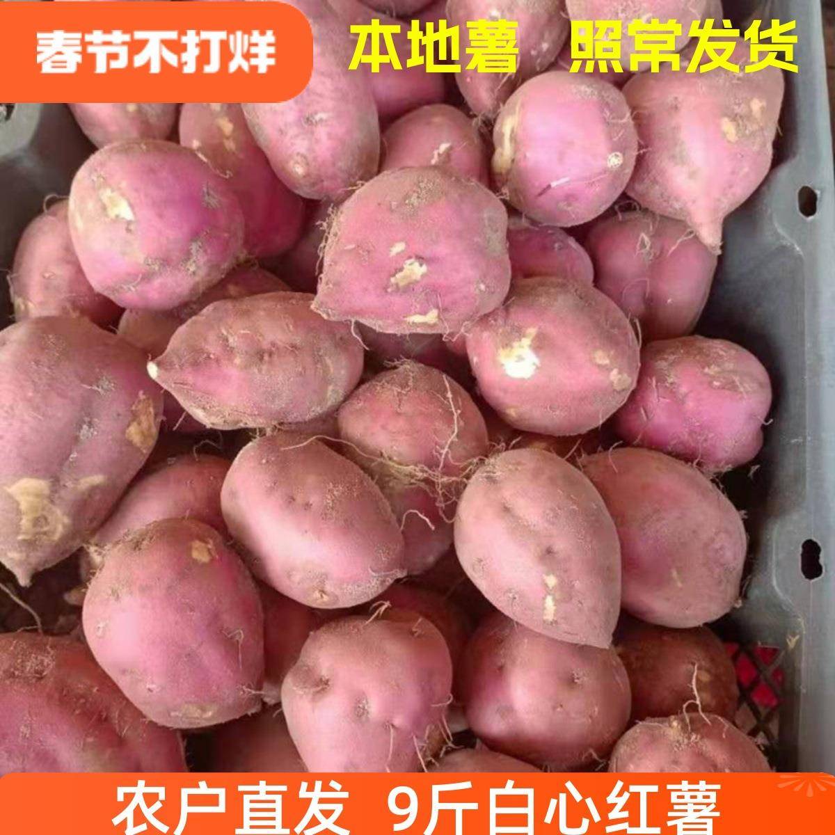 重庆红薯山芋助农地瓜红皮白心红薯新鲜干瓤粉圆红苕板栗番薯9斤