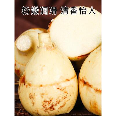 云南新鲜慈姑茨菰茨菇白马蹄鲜慈姑5斤粉糯荸荠新鲜蔬菜顺丰包邮