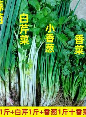 4斤湖北农家红菜苔白菜苔蒜苗新鲜白芹菜香菜小香葱时令青蔬菜