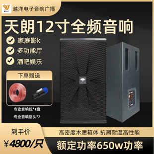 天朗12寸全频音箱KTV娱乐工程专用650w大功率高端音响 Tagnngqy