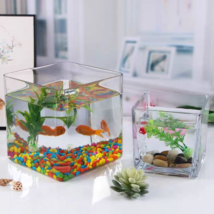 鱼缸正方形玻璃透明加厚斗鱼缸金鱼缸创意小型水培办公室客厅桌面