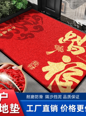 入户门地垫马年进门口防尘免洗脚垫家用2026新款防滑红色丝圈门垫