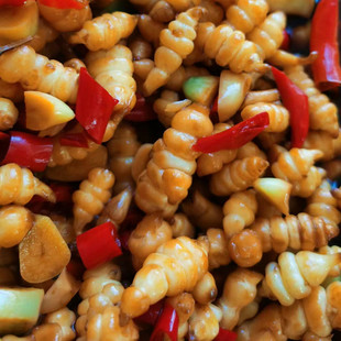 正宗巴盟咸菜地螺 内蒙古美食农家下饭榨菜咸菜凉菜500克脆甜微酸